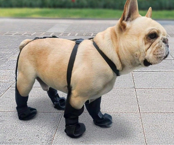 Waterproof Long Dog Boots - Secure & Waterproof for Winter Paw Protection (four boots)