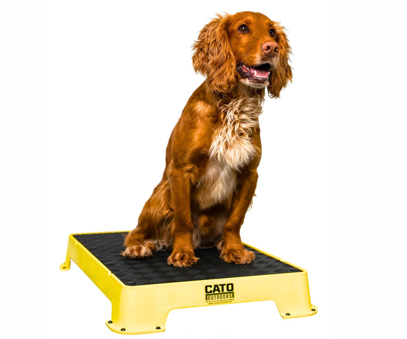 Cato Dog Outdoors Training Board - Durable, Non-Slip Training Platform for Stability & Confidence Building (41cm W x 61cm L x 9cm H)