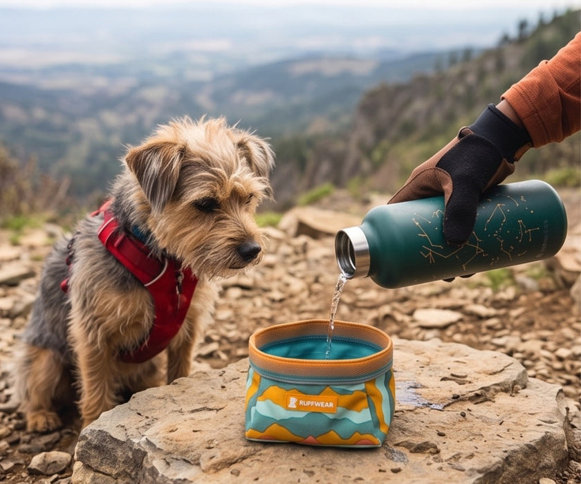 Ruffwear Quencher Packable Dog Bowl - Collapsible Waterproof Fabric Bowl for Food & Water On the Go