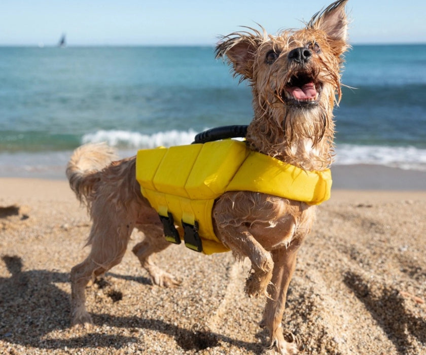 Noah & Paw Dog Life Jacket - Human Standards Life Jacket with Reinforced Rescue Handles for Comfortable & Supportive Swimming