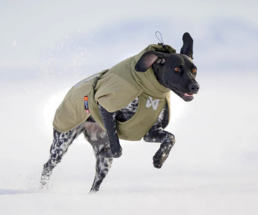 Non-Stop Dogwear Glacier Dog Wool Jacket 3.0 - Maximum Warmth & Comfort for Stiff Joints with 100% Merino Wool Lining