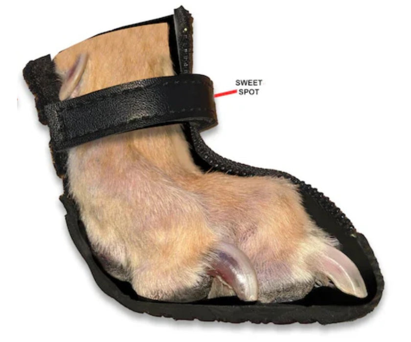 Hunnyboots - Set of Two Greyhound Boots V4 (a pair)