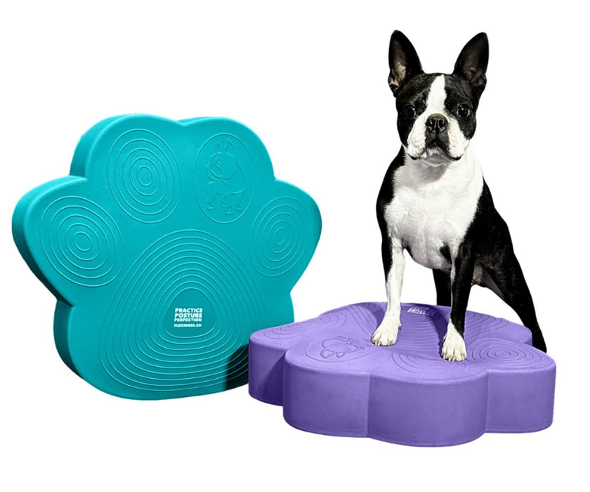 Flexiness Dog PawDisc Inflatable Training Disc - Builds Stability & Coordination for Rehab & Conditioning
