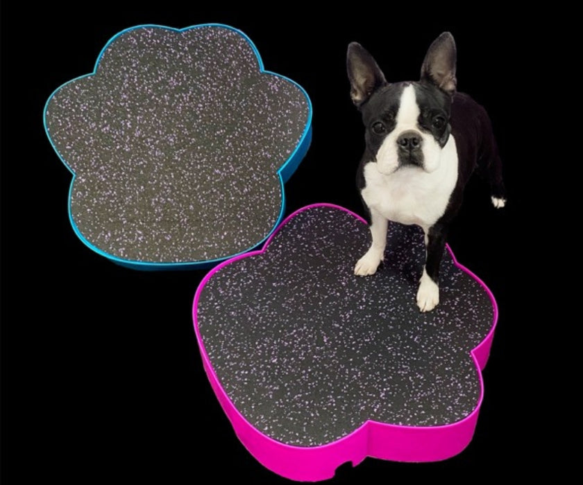 Flexiness Dog PawStep Training Platform - Builds Stability & Posture for Rehab & Controlled Movement