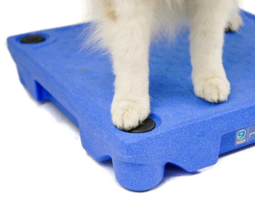 Blue-9 Sure Feet for Klimb Dog Training Platform - Non-Slip Feet & Safety Plugs for Klimb Platform