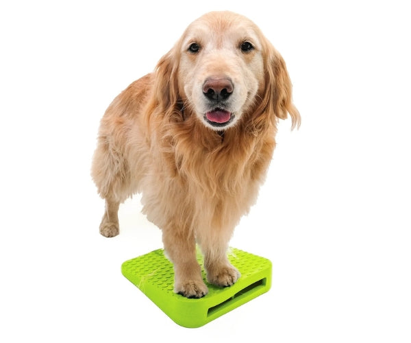 FitPaws Balance Ramp 14" - Green