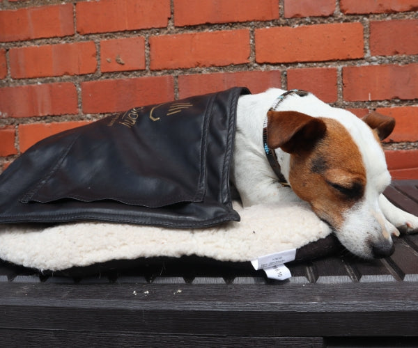 Epiony Heat Pad for Dogs - Targeted Warmth & Portable Heat Therapy