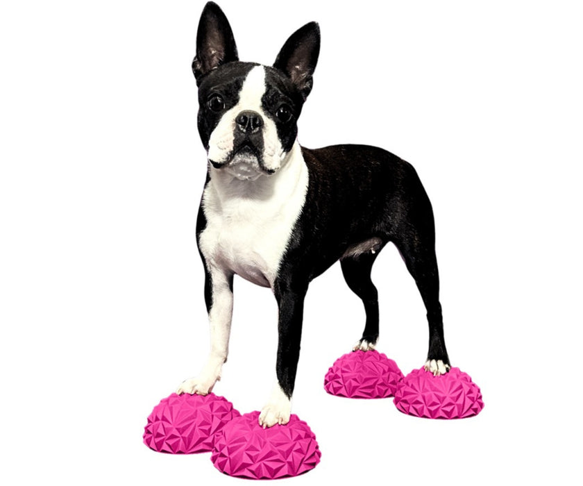 Flexiness Dog PawStackers - Non-Slip Diamond Grip Therapy Balls for Balance Training & Nerve Stimulation (pack of 4)