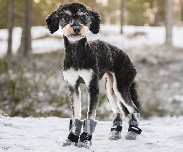 Reflective Tall Dog Boots - Fleece Reflective Boots, Keeps Your Dog Warm & Safe (four boots)