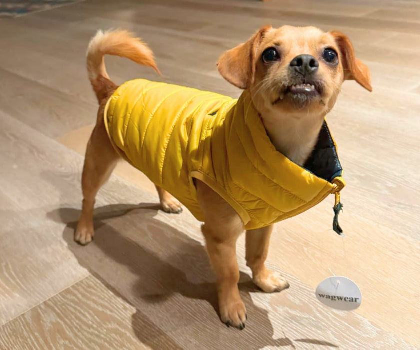 WagWear Dog Puffer Vest - Keep Your Dog Warm and Cosy, Easy to Zip On