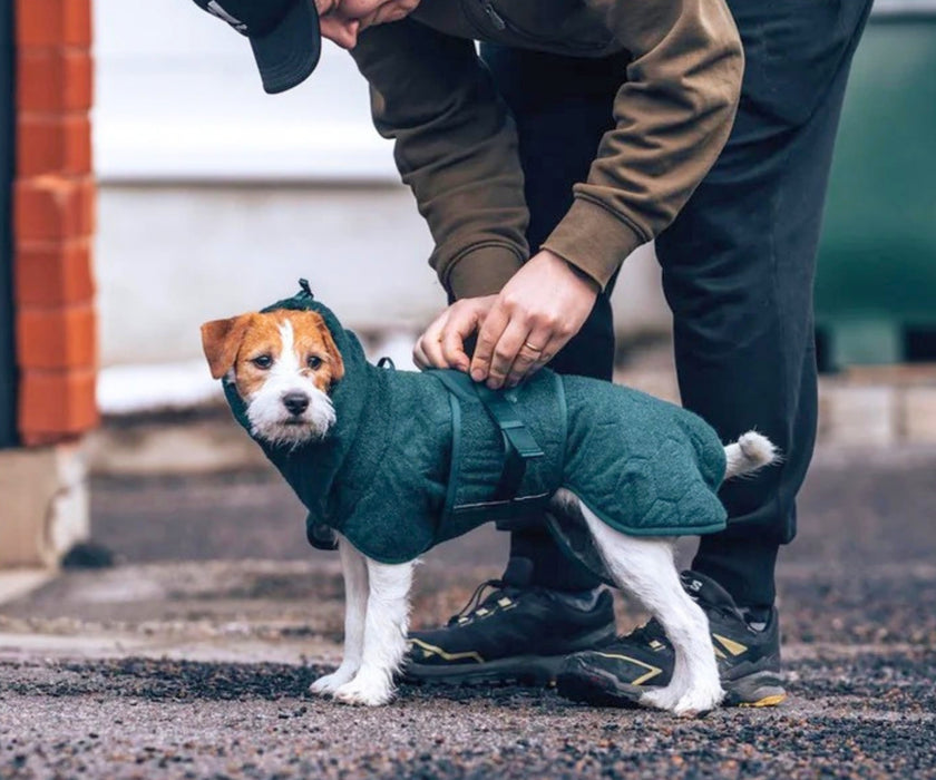 Non-Stop Dogwear Drying Coat for Dogs - Quickly Dries Wet Fur & Keeps Your Dog Warm