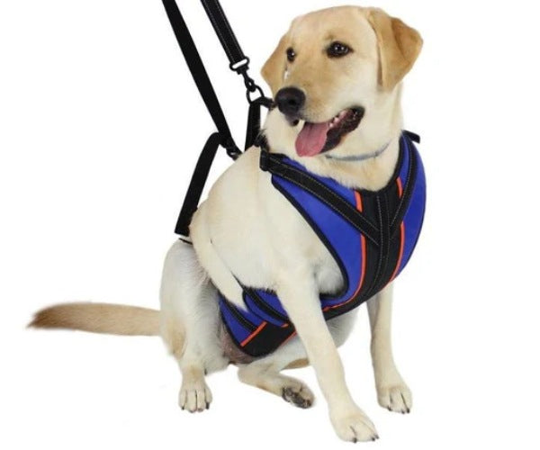 Walkin’ Support RX - Total Body Support for Dogs