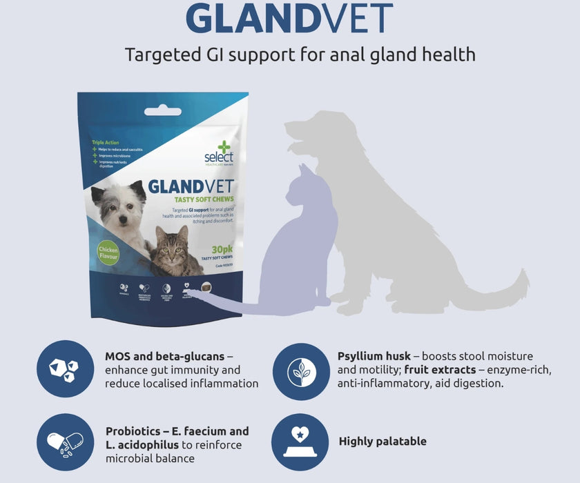 GlandVet Anal Gland Support Chews for Dogs - Balances Inflammation & Aids Gut Health 30 Soft Chews
