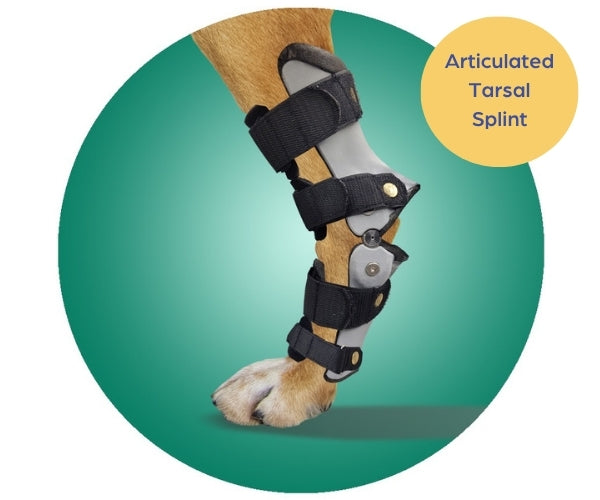 Scandi Orthopedic Hock and Tarsal Rear Splint Fully Customised - Grade 4 (rigid)