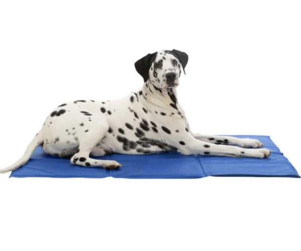 Trixie Cooling Mat for Dogs - Keeps Your Dog Cool During Hot Weather