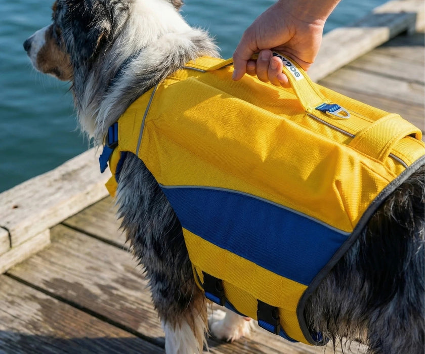 Baydog Monterey Bay Offshore Dog Life Jacket - Enhanced Chest Flotation Design & Dual Rescue Handles