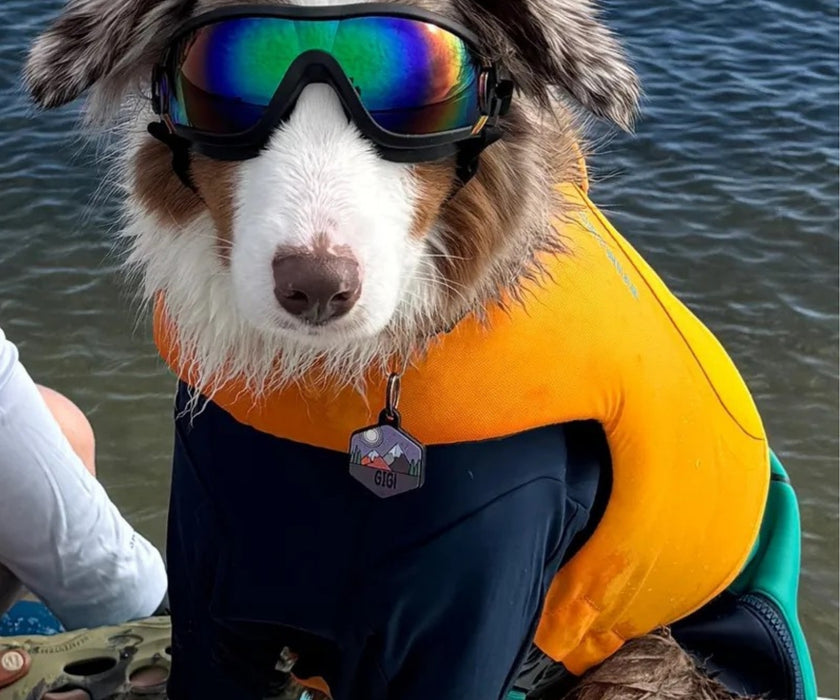 Ruffwear Float Coat Life Jacket for Dogs - Premium Buoyancy Aid for Safe Swimming & Water Adventures