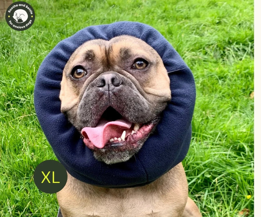 Soothe & Settle Dog Hush Muff - Noise Reducing Calming Snood for Anxiety, Travel & Stressful Situation Support