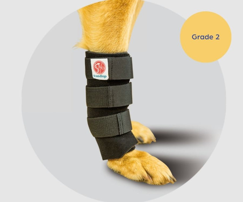 Scandi Orthopedic Dog Carpal Front Wrap - Grade 2 (light to moderate)