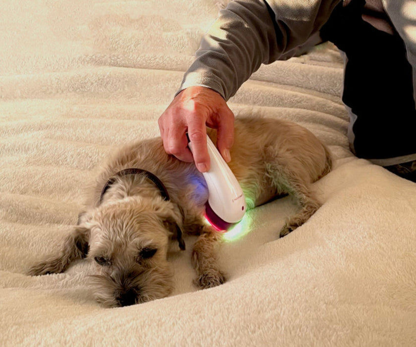 LumaSoothe Dog Light Therapy Device - Handheld LED Therapy for Pain Relief, Inflammation Reduction & Skin Healing