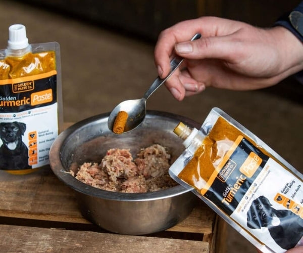 The Golden Paste Co. Turmeric Golden Paste for Dogs - Helps Ease Inflammation 100g