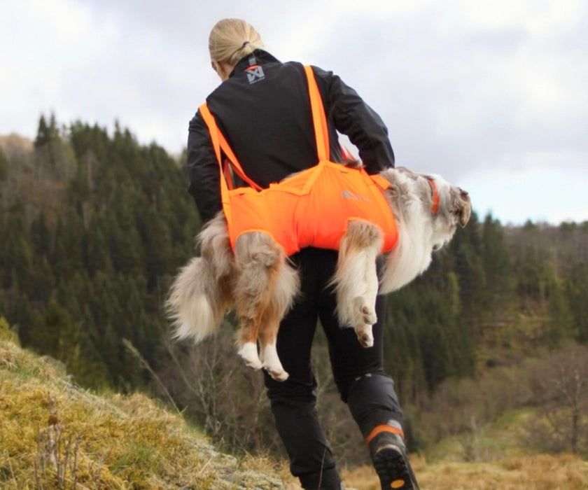 Non-Stop Dogwear Full Body Dog Sling - Help Your Dog Through Injury, Recovery & Adventure up to 50kg