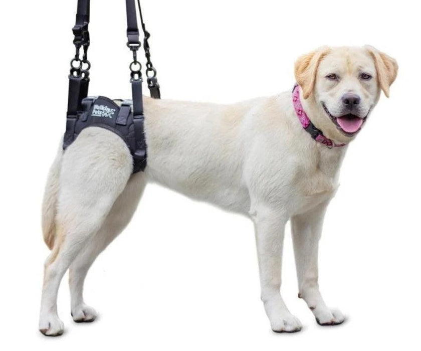 50% Off - Walkin Rear Lift Dog Harness - best for Walkin Wheelchair