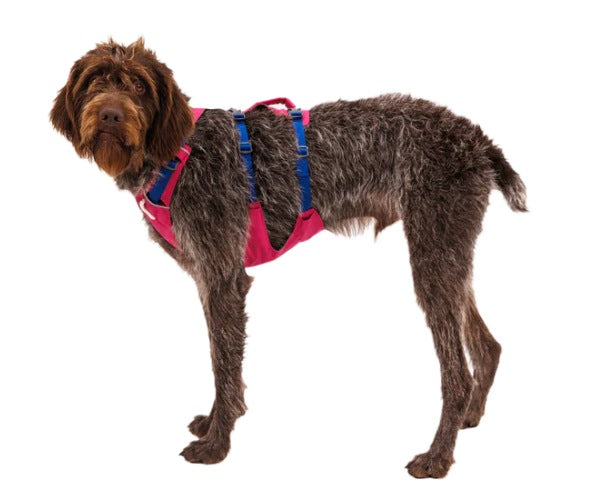 Ruffwear Flagline Dog Harness - Longer Lightweight Harness with D-Ring