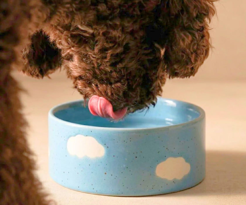 Egg Back Home Stoneware Dog Bowl 14cm - Handmade Ceramic Feeding Bowls