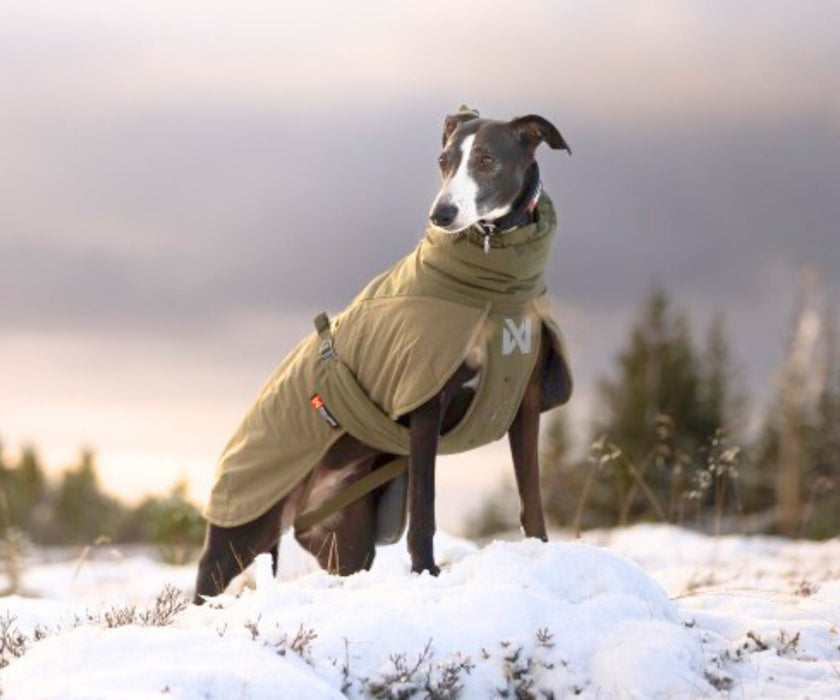 Non-Stop Dogwear Glacier Wool Jacket 3.0 for Dogs - Maximum Warmth & Comfort for Stiff Joints