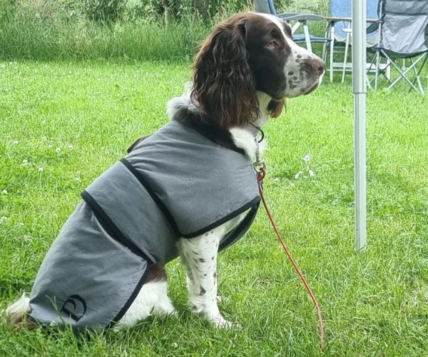 Paw Daw of London Luxury Cooling Coat for Dogs - Targeted Cooling & Sun Protection For Hot Weather