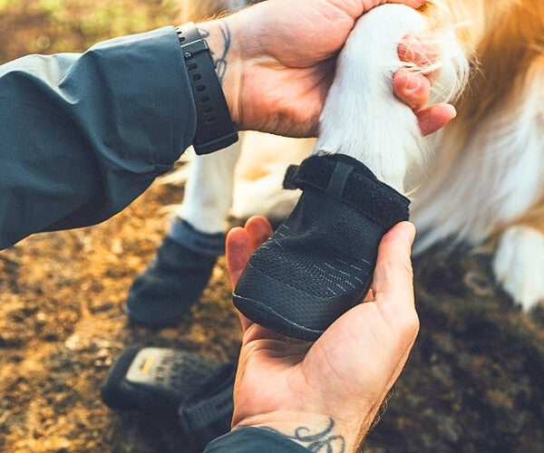 Ruffwear Ridgeline Lifestyle Dog Boots - Comfortable & Breathable for Everyday Adventures (two boots)