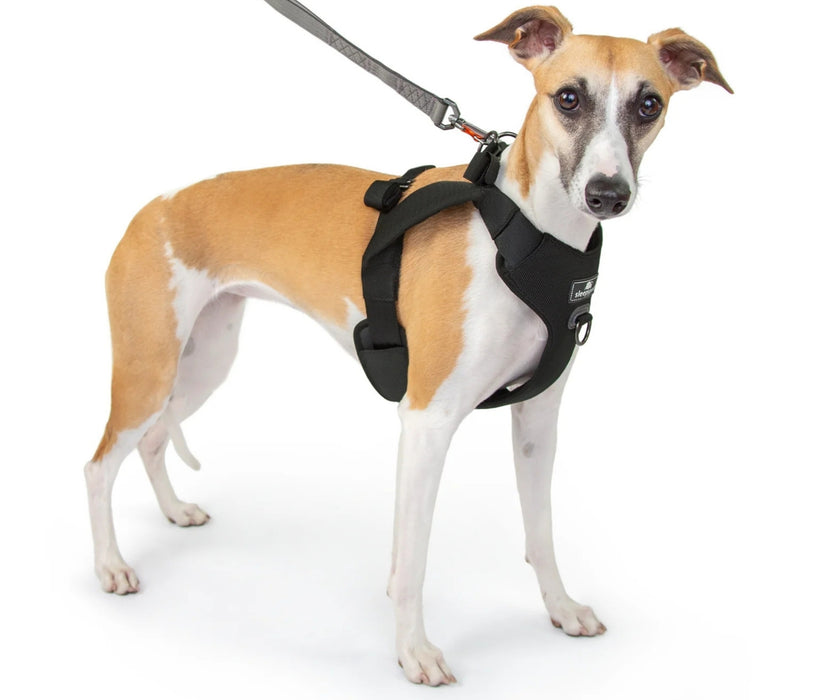 Sleepypod ClickIt Range Dog Car Safety Harness - Easy Lifting & Secure Travel for Your Dog