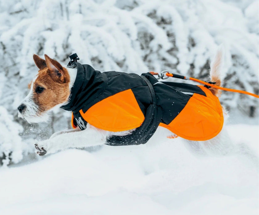 Non-Stop Dogwear Glacier Jacket 3.0 for Dogs - Exceptional Warmth & Comfortable Support for Stiff Joints