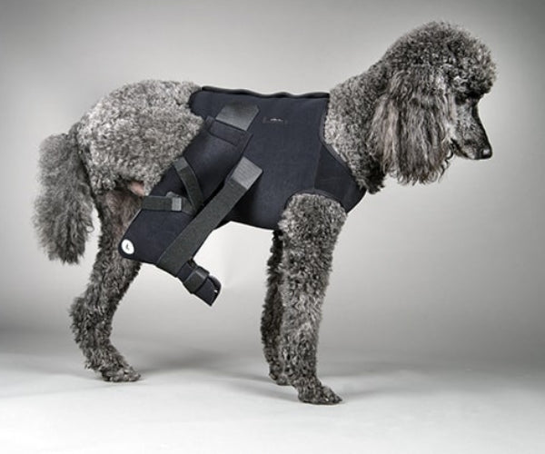 DogLeggs Ehmer Sling with Vest for Dogs - Enhances Your Dog's Comfort & Accelerates Their Recovery from Dislocated Hip