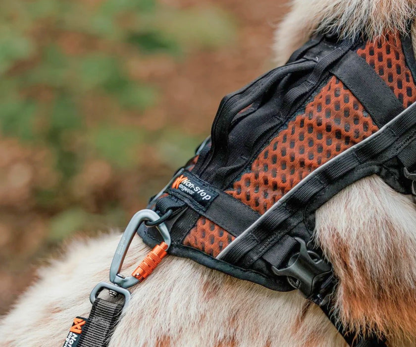 Non-Stop Dogwear Rock Harness Long for Dogs - Comfortable Full-Body Support & Freedom of Movement