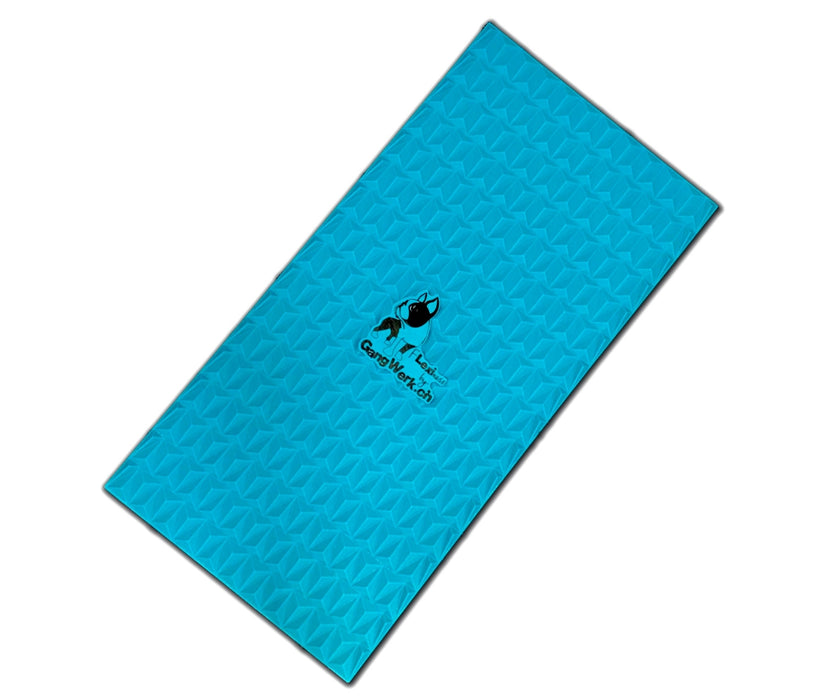 Flexiness Dog SensiMat Sensory Training Mat - Supports Grip & Balance for Rehab, Fitness & Confidence 30 x 60cm