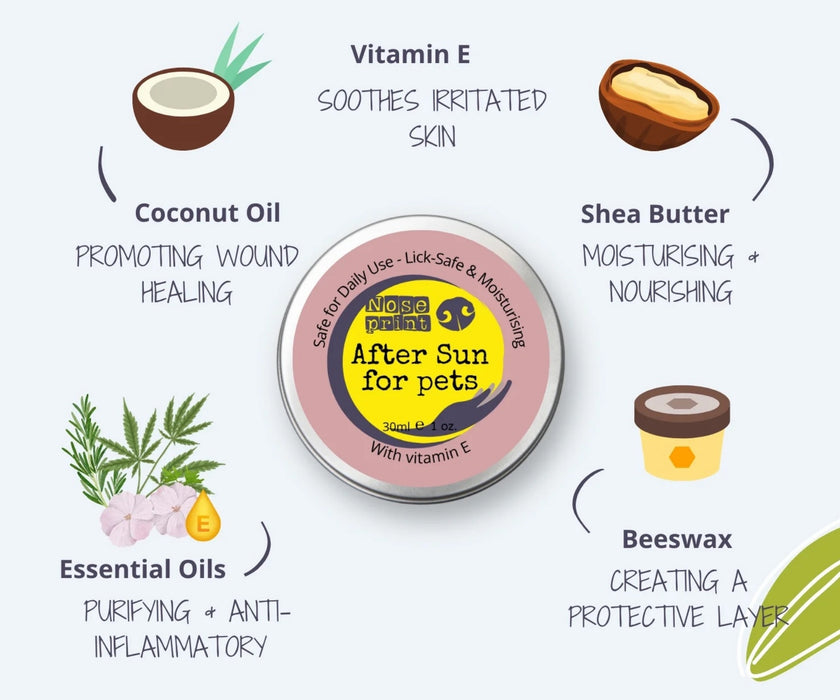 Noseprint Dog After Sun Balm for Dogs - Soothes, Hydrates & Supports Sun-Exposed Skin 30ml