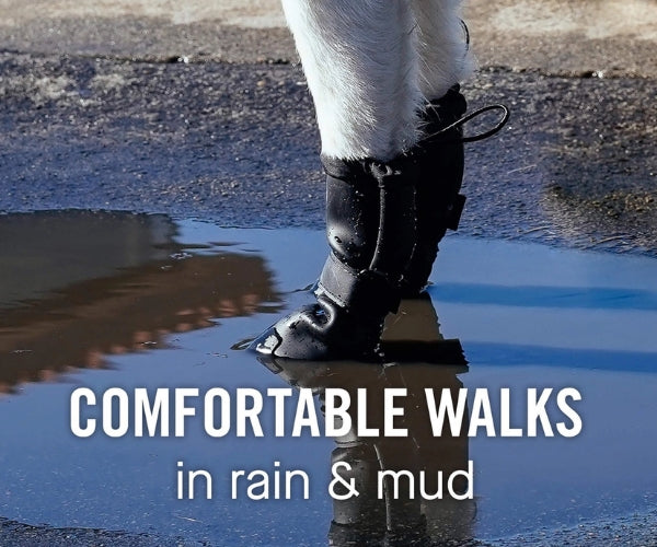 Canada Pooch Waterproof Rain Dog Boots - Non-Slip Rubber Grip Boots for Wet Weather Walks (four boots)