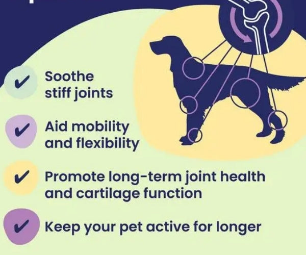 Flexadin Advanced UC-II Joint Supplement for Dogs - Supports Joint Health & Mobility 30 or 60 Chews