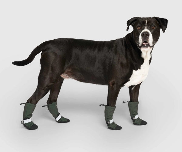 Canada Pooch Soft Shield Dog Boots - Cold Weather Boots With Rubber Grip (four boots)