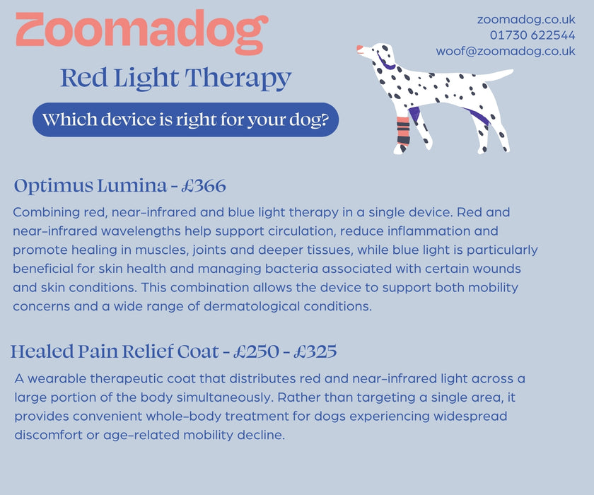 HEALED Pain Relief Coat for Dogs - For Arthritis, Inflammation and Joints using Revolutionary LED