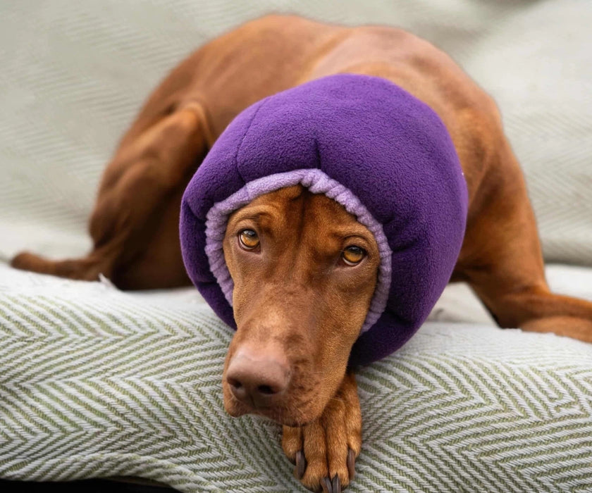 Soothe & Settle Dog Hush Muff - Noise Reducing Calming Snood for Anxiety, Travel & Stressful Situation Support