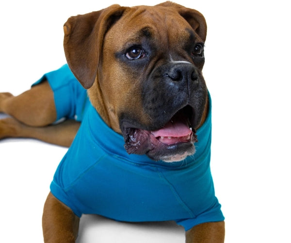VetMedWear Recovery Suit for Dogs - Post-Surgery & Wound Protection