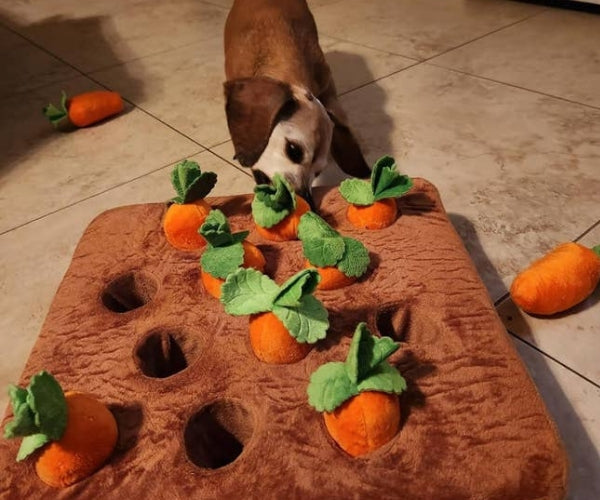 Interactive Carrot Garden Game for Dogs - Mentally Stimulating Snuffle Toy
