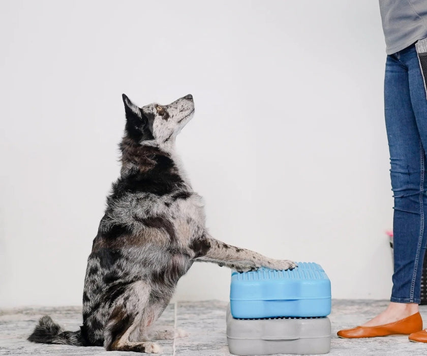 Blue-9 Dog Propel Air Platform - Inflatable Balance & Conditioning Platform for Strength, Stability & Rehabilitation Training