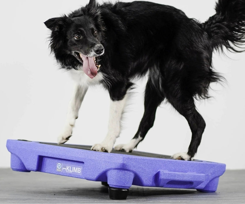 Blue-9 Dog Klimb Training Platform - Non-Slip Elevated Platform for Rehabilitation & Strength Building (61cm L x 61cm W x 31cm H)