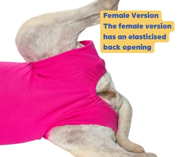 VetMedWear Recovery Suit for Dogs - Post-Surgery & Wound Protection Suit Made of 95% Organic Cotton