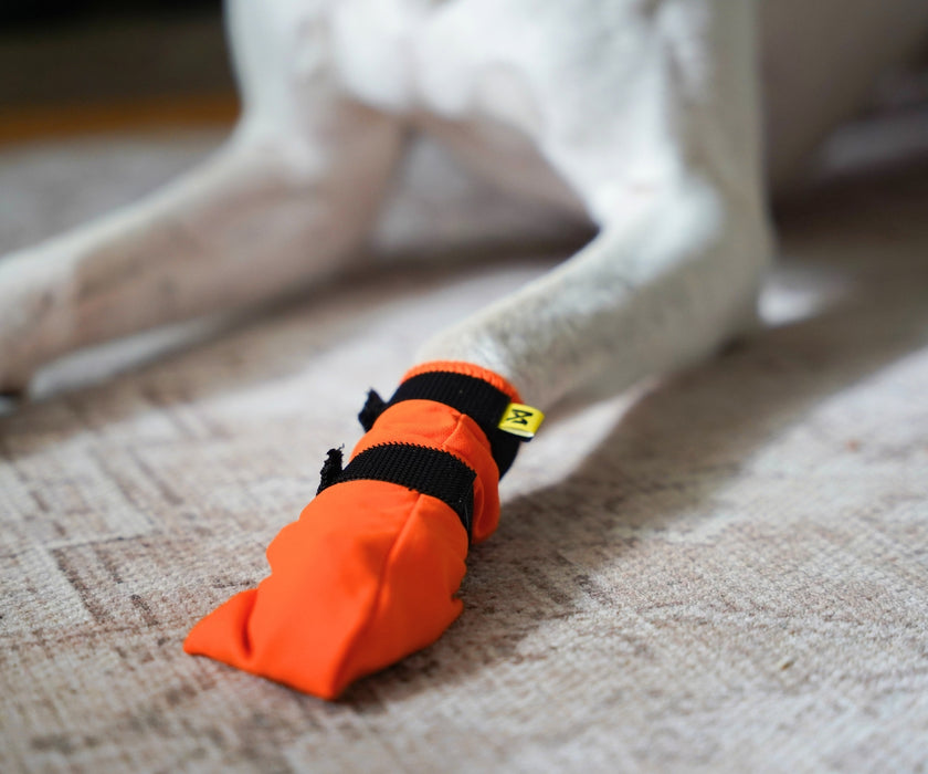 Non-Stop Dogwear Contact High Dog Boots - Protects Paws & Legs From Snow, Ice & Extreme Temperatures (four boots)