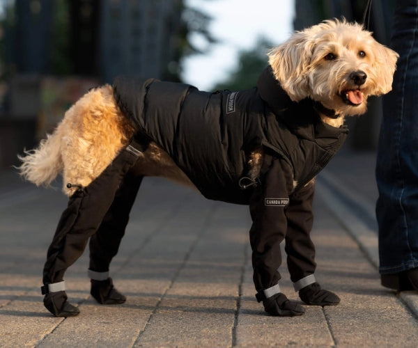 Canada Pooch Suspender Dog Boots - Secure Paw Protection With Extended Leg Coverage (four boots)